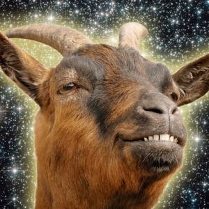 Meet your Posher, Corinne